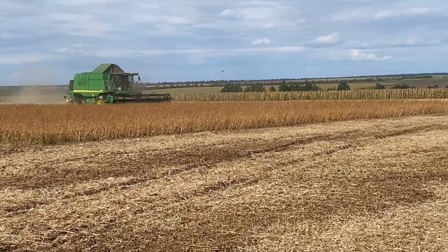 Соя 2021 ИТОГИ John Deere W650 Hydra Flex Уборка. смотреть онлайн