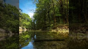 Не торопись. Я нарисую мир таким каким люблю. Песня из к/ф "Всегда говори всегда"