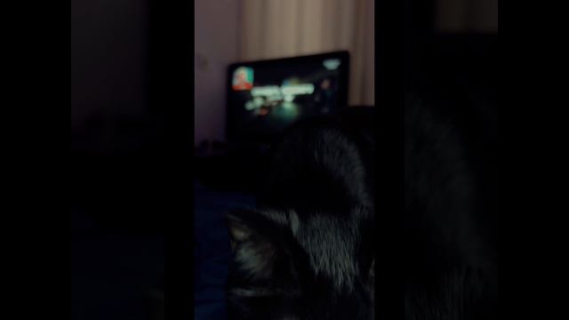 Одиночество💔