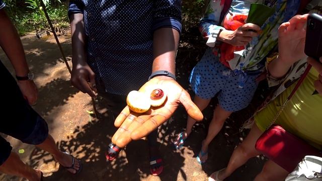 ЗАНЗИБАР. ЕДЕМ НА ПЛЯЖ НУНГВИ. ФЕРМА СПЕЦИЙ! смотреть онлайн