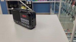 Радиоприемник Perfeo Aspen