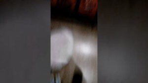 Сломался телефон купили новый
