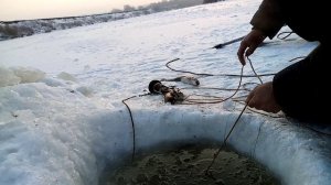 Рыбалка на перемет.