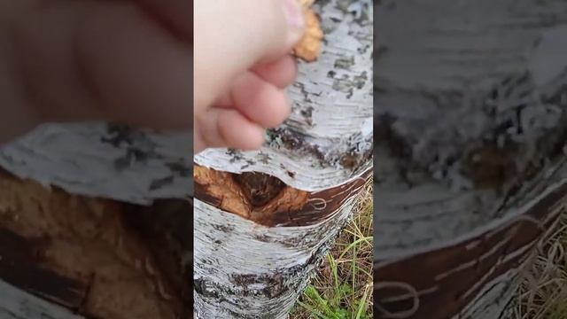 Что делать если вы оказались в незнакомом поле? (часть 3) смотреть онлайн