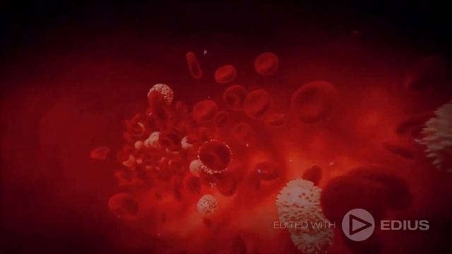 Омега 3 танд ямар хэрэгтэй вэ? #Newmacor Omega3 смотреть онлайн