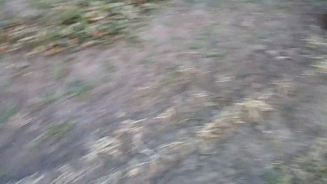 Фундук. Знакомство с Александровским орешником.