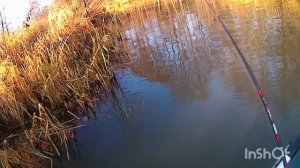 Рыбалка на реке Вязьма