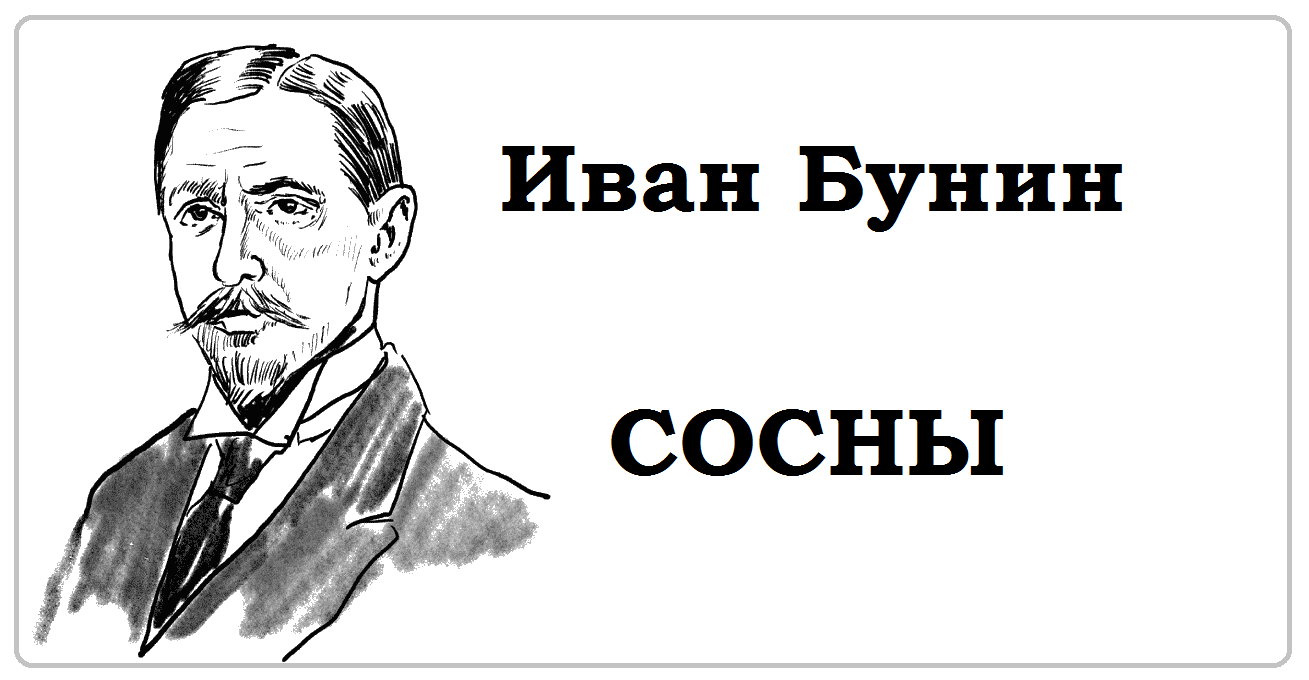 Бунин сосны читать. Сосны Бунин. Бунин сборник сосны. Книга Бунина сосны. Бунин книги СССР