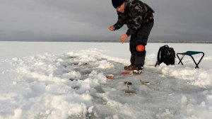 Корюшка: добыть любой ценой. Зимняя рыбалка на Финском заливе!