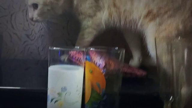 Встреча 2022 года./(vlog slicing)/[~SMK~]☆ смотреть онлайн