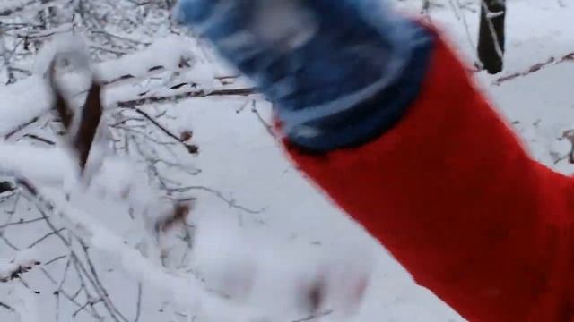 Природа зимой. Зимняя сказка смотреть онлайн