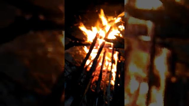 Чистота планеты Земля и личнАго пространства человека.mp4