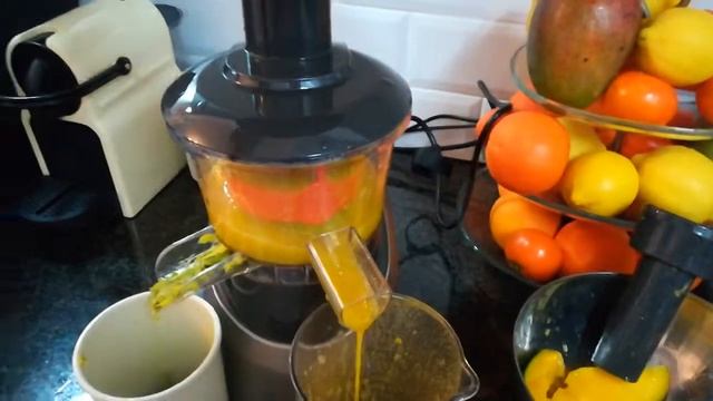 Соковыжималка шнековая