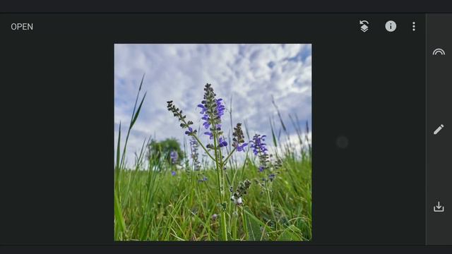 GLOW in the DARK EFFECT | SNAPSEED TUTORIAL | Android | iPhone смотреть онлайн