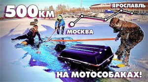 УТОПИЛИ БУКСИРОВЩИК!!! 500км на МОТОСОБАКАХ! Из Москвы в Ярославль с ПРИКЛЮЧЕНИЯМИ! Серия 2