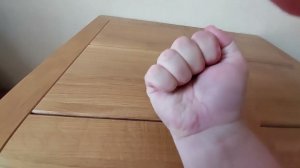 Как Поймать Муху