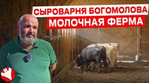 Обзор на молочную ферму Богомолова | Молочное животноводство | КУЛЬТИВАТОР