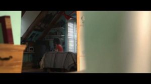 Fall Out Boy - Immortals (RUcover by Loony Me)