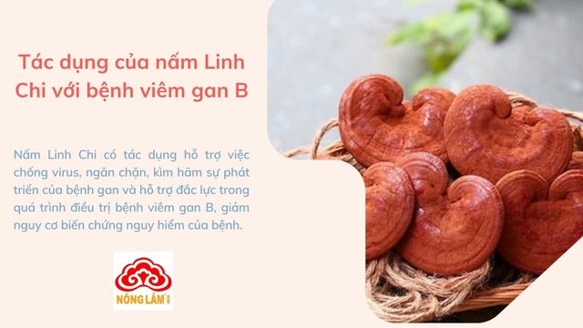 Tác Dụng Của Nấm Linh Chi Trong Điều Trị Viêm Gan B смотреть онлайн