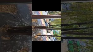 г. Тюмень, ул. Ямская, 104/4 (11:00-13:00)