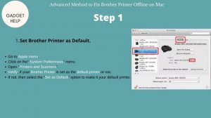 How to Fix [Brother Printer Offline on Mac/OS]
