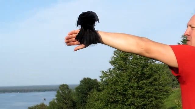 Учим летать слётка грача смотреть онлайн