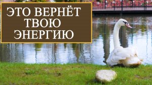 Это вернет твою энергию |Медитация |КПТ психология