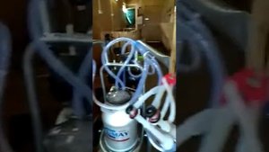 Отзыв Доильный  аппарат для Коз Турция UMAY