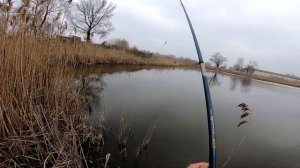 КАРАСЬ НА БОКОВОЙ КИВОК! ловля весеннего карася. рыбалка на карася.