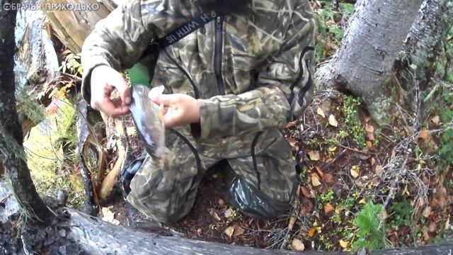 ЗАКРЫТИЕ СЕЗОНА ЛОВЛИ ХАРИУСА НА ТАЕЖНЫХ РЕКАХ