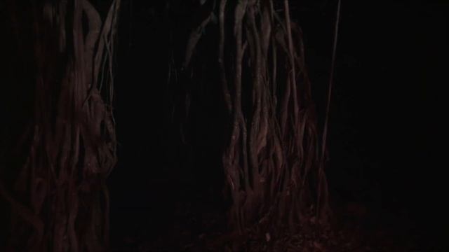 Spirits of the Wild Tree смотреть онлайн