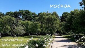 Летний день в парке Коломенское. Москва.