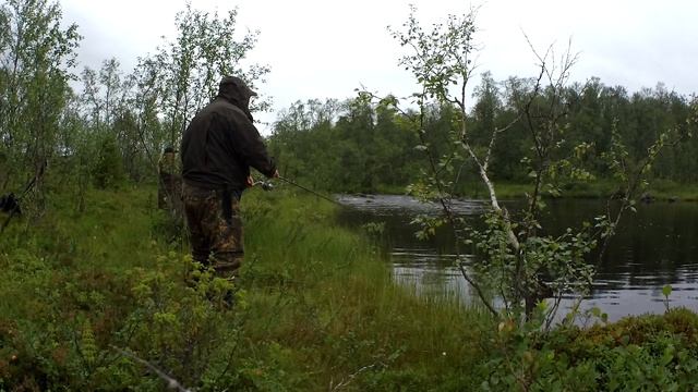 ПОШЛА ЛИ МОРОШКА И ГРИБЫ? смотреть онлайн