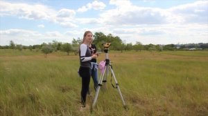 Строение ландшафтного профиля и нивелирование территории