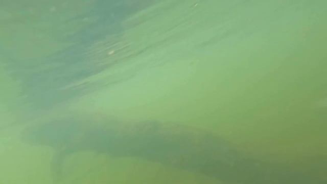 тест камеры GO PRO 10 ПОД водой смотреть онлайн