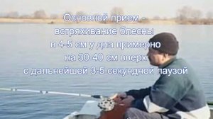Техника ловли на блесну. Отвесное блеснение