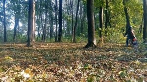Когда хочется эндуро, но есть только Восход 3М...
