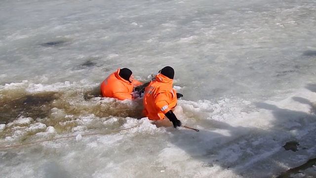 Финальное спасение морозоустойчивой дворняжки! Екатеринбург, 09.04.16 смотреть онлайн