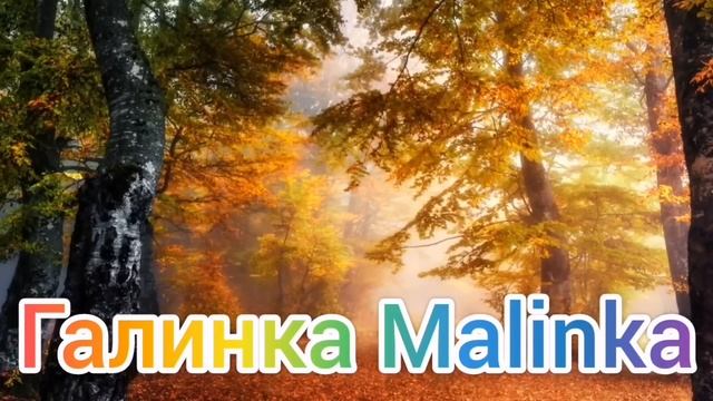 Ольга Уралочка live /Дожили /Уже бьются /Обзор Влогов /Уралочка и Сафар /