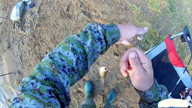 Рыбалка на Волчихинском водохранилище. Июнь 2019