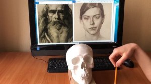 Кости  черепа и мышцы лица