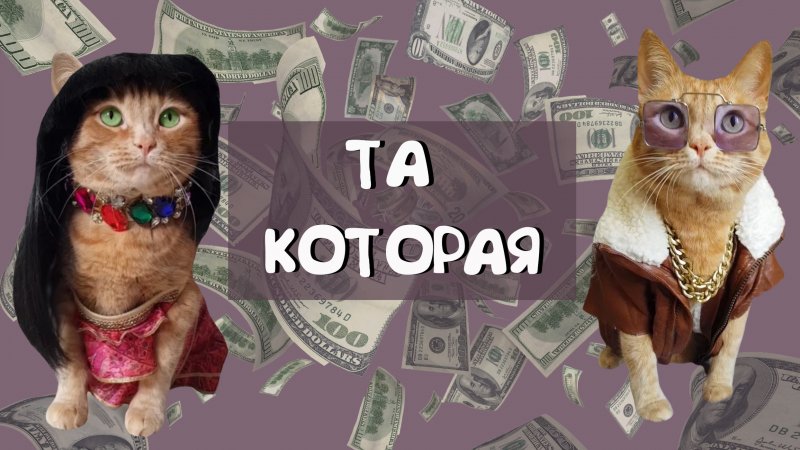 Та которая... #shorts