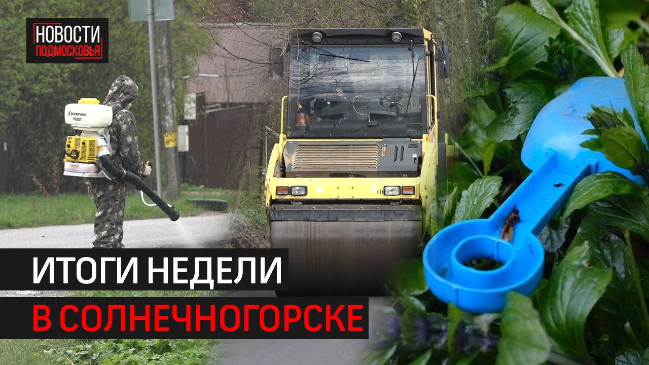 На своей территории | Как по маслу | Сезон трагедий // Итоги недели // Солнечногорск 20.05