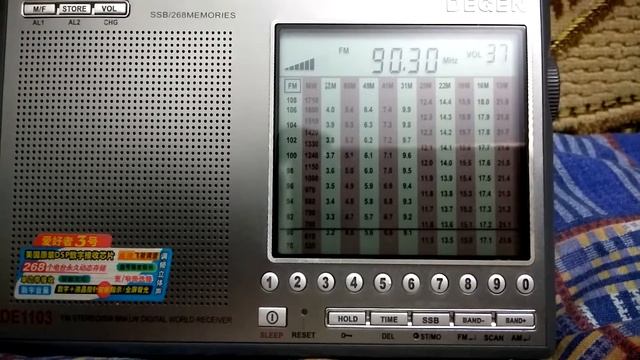 FM diapazon na Degen 1103. смотреть онлайн