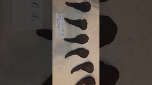 Покупаем Амрита Кокон!