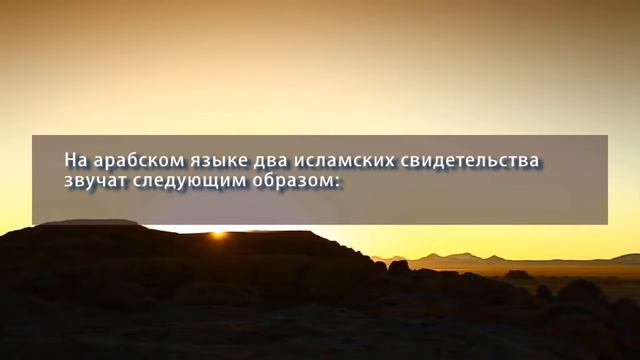 Как принять Ислам смотреть онлайн