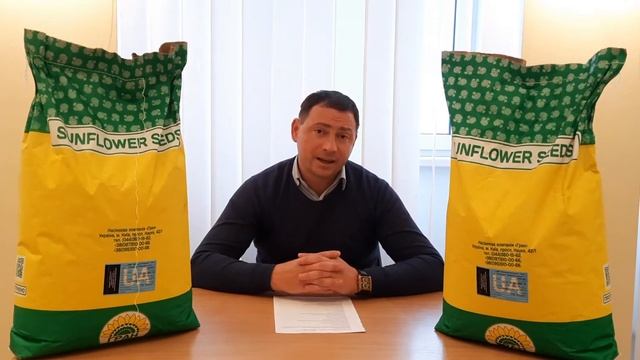 Семена подсолнечника ФЕНИКС Сумо под гранстар. Урожайный гибрид 42ц/га держит семь рас заразихи A-G