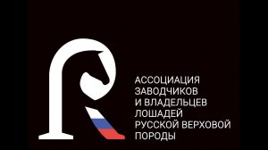 Выступление М. Политовой на митапе в КК "Прадар" 21 января 2023 г.