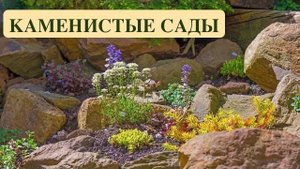 КАМЕНИСТЫЙ САД/АЛЬПИНАПИЙ/РОКАРИЙ/ТЕРРАСИРОВАНИЕ. Rocky H САД / АЛЬПИНАПИЙ:РОКАРИЙ.ТЕРРАСИРОВАНИЕ.