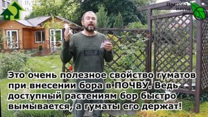 Собрались подкармливать ТОМАТЫ и ОГУРЦЫ? ВОТ популярные подкормки, КОТОРЫЕ НЕ СОВМЕСТИМЫ!